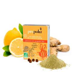 Propolia Luomu Pastillit Inkivääri 45 g, Ravintolisä